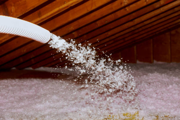 Best Best Insulation Companies  in Harlem Heights, FL