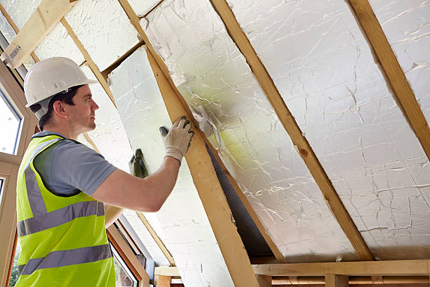 Best Affordable Insulation Services  in Harlem Heights, FL