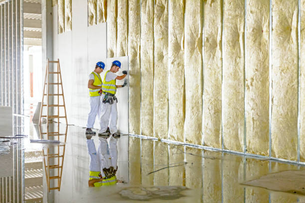 Best Insulation Repair Services  in Harlem Heights, FL